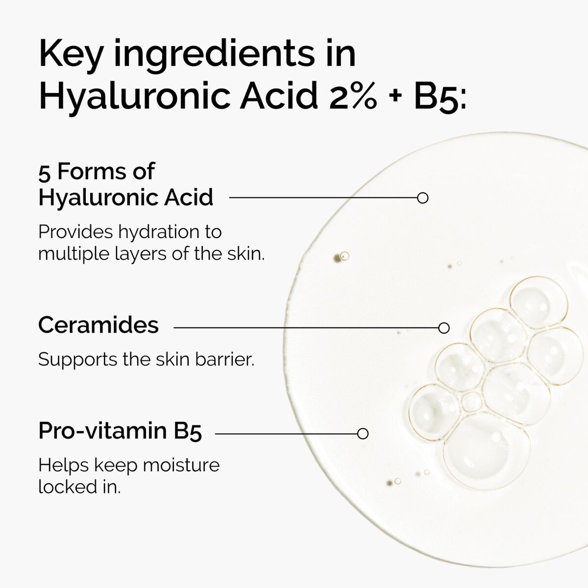 hyaluronic-acid-2-b5-with-ceramides-o4 ord-hyaluronic-acid-2pct-b5-hydrating-serum-ingredients-graphic.jpg